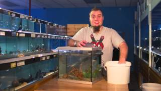 Fishkeeping Tips  How To Perform A Water Change On An Aquarium [upl. by Carder]