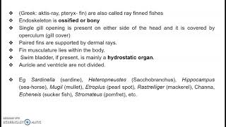 Class Actinopterygii [upl. by Brittnee]