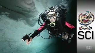 CaveDiving In Australia’s Arid Nullarbor Outback [upl. by Boccaj]