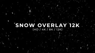 Snow Overlay HD  4K  8K  12K [upl. by Ianthe]