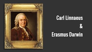 Carl Linnaeus and Erasmus Darwin [upl. by Francie317]