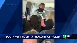 New video shows how attack on plane from Sacramento unfolded [upl. by Nnylekoorb315]