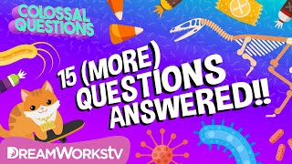 15 More Quick Questions Answered  COLOSSAL QUESTIONS [upl. by Edmunda658]