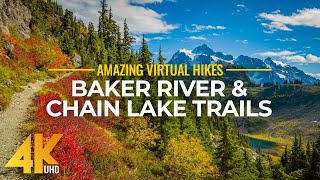 4K Virtual Hike Near River through the Forest  Baker River Trail amp Chain Lake Trail [upl. by Aidil]