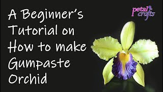 Beginners Tutorial on how to make Cattleya Orchid from Gum paste [upl. by Westerfield]