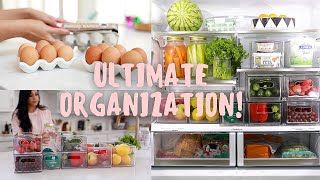 ULTIMATE Fridge Organization IN 5 Easy Steps MissLizHeart [upl. by Otrebireh]