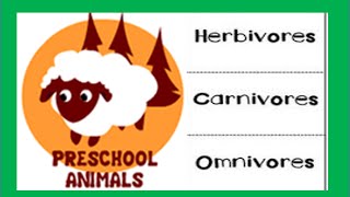 Herbivore Carnivore Omnivore Animals [upl. by Crystie]