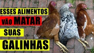 7 ALIMENTOS QUE VOCÊ NÃO DEVE DEIXAR SUAS GALINHAS COMEREM [upl. by Tarazi]