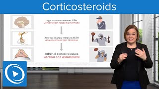 Corticosteroids – Pharmacology  Lecturio Nursing [upl. by Housum]