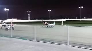 LIVE RACE HORSES AT EMPIRECITY CASINO YONKERS NEWYORK [upl. by Nosnhoj]