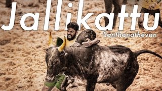 ஜல்லிக்கட்டு 2020  Trichy Manapparai Jallikattu 2020  Jallikattu  Jallikattu Highlights [upl. by Tj]