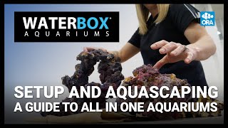 Setup and Aquascaping  A Guide to All In One Aquariums LIVE [upl. by Einrae28]