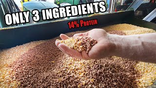 EASY PIG FEED MIX  Only 3 Ingredients 14 Protein [upl. by Ahseen]