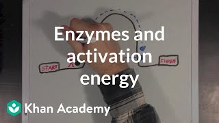 Enzymes and activation energy  Biomolecules  MCAT  Khan Academy [upl. by Docilla666]