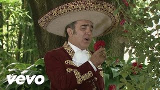 Vicente Fernández Hijo  Desde Que Tú Te Fuiste [upl. by Nessi]