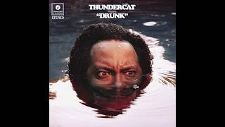 Thundercat  Them Changes [upl. by Ivy]