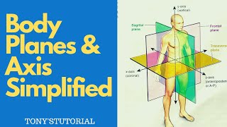 BODY PLANES amp AXIS SIMPLIFIED  Sagittal Coronal amp Transverse Planes [upl. by Helbona351]