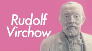 RUDOLF VIRCHOW  Documentary [upl. by Loren]