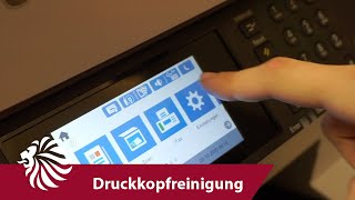 Epson WF Druckkopfreinigung  Tutorial 8  HAIN [upl. by Maurene968]