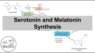 Serotonin and Melatonin Synthesis  Tryptophan Metabolism [upl. by Eydie]