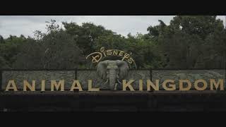 Animal Kingdom Entrance Area 3 Hour Loop [upl. by Fiertz]