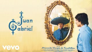 Juan Gabriel  Estoy Enamorado de Ti Cover Audio [upl. by Baler]