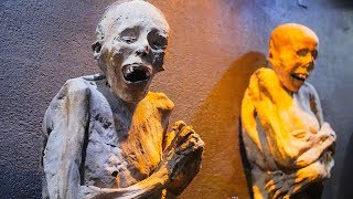 The Mummies of Guanajuato Inside the Museum Cemetery and More [upl. by Wengert]