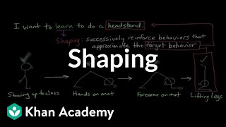 Operant conditioning Shaping  Behavior  MCAT  Khan Academy [upl. by Sane]