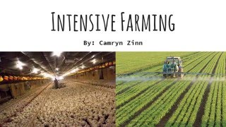 Intensive farming [upl. by Howlan]