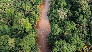 EL AMAZONAS DE COSTA RICA  Tortuguero Limón [upl. by Enail]