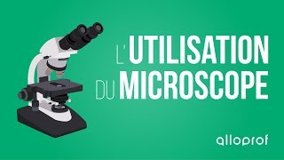 Lutilisation du microscope  Sciences  Alloprof [upl. by Driscoll654]