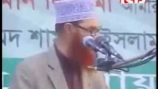 Heavy Weight Speech By Allama Deloar Hossain Saidi [upl. by Akienat]