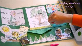 Lapbook Las Plantas [upl. by Dante311]