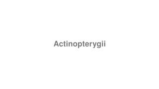 How to Pronounce quotActinopterygiiquot [upl. by Etireugram]