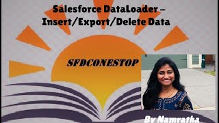 Salesforce Data Loader Demo  Export [upl. by Burney255]