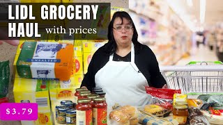 LIDL Grocery Haul with Prices [upl. by Sontich363]