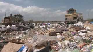 Tossed Out Food Waste in America [upl. by Werdnael]