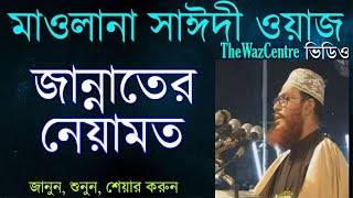 জান্নাতের নেয়ামত। Maulana Delwar Hossain Saidi Waz। [upl. by Tabby]