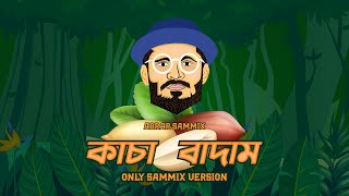 SAMMIX VERSION  কাঁচা বাদাম । KACHA BADAM  Official Music Video  Abrar Sammix [upl. by Annhoj157]