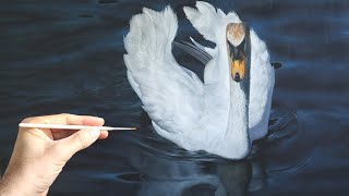 How to paint a realistic swan  swan painting  part I [upl. by Sokram344]