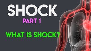 What Is Shock  Shock Pathophysiology  Shock Part 1 [upl. by Ylak]