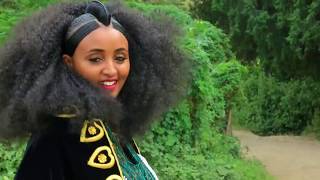 Ethiopian music  Haftom GMichael  Welelaatonወለላኣተን  Ethiopian Tigrigna Music Official Video [upl. by Mountford]