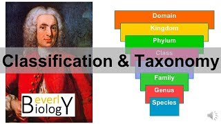 Classification and Taxonomy [upl. by Appleby670]