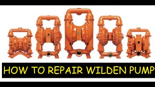 REPAIR WILDEN PUMP solved [upl. by Enerehs]