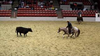 Houston Rodeo Professional Cutting Horse Competition [upl. by Liahus]