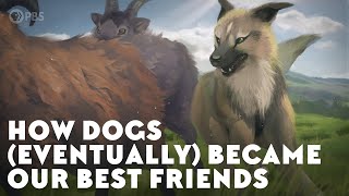 How Dogs Eventually Became Our Best Friends [upl. by Simon]