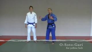 Judo Techniques for Belt Promotion  Yellow Belt [upl. by Ierna578]