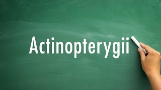 How Do You Pronounce Actinopterygii [upl. by Ardnasela]