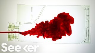 What Really Happens to Your Blood After You Donate [upl. by Kohn]