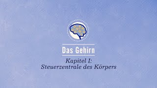 Das Gehirn Steuerzentrale des Körpers [upl. by Nanda420]